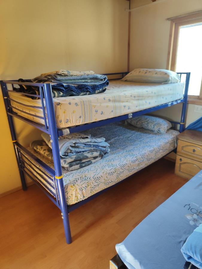 Alma Patagona Hostel Puerto Tranquilo Luaran gambar