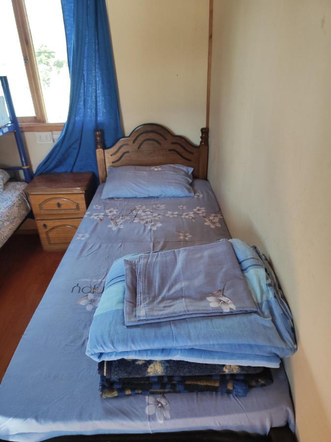 Alma Patagona Hostel Puerto Tranquilo Luaran gambar