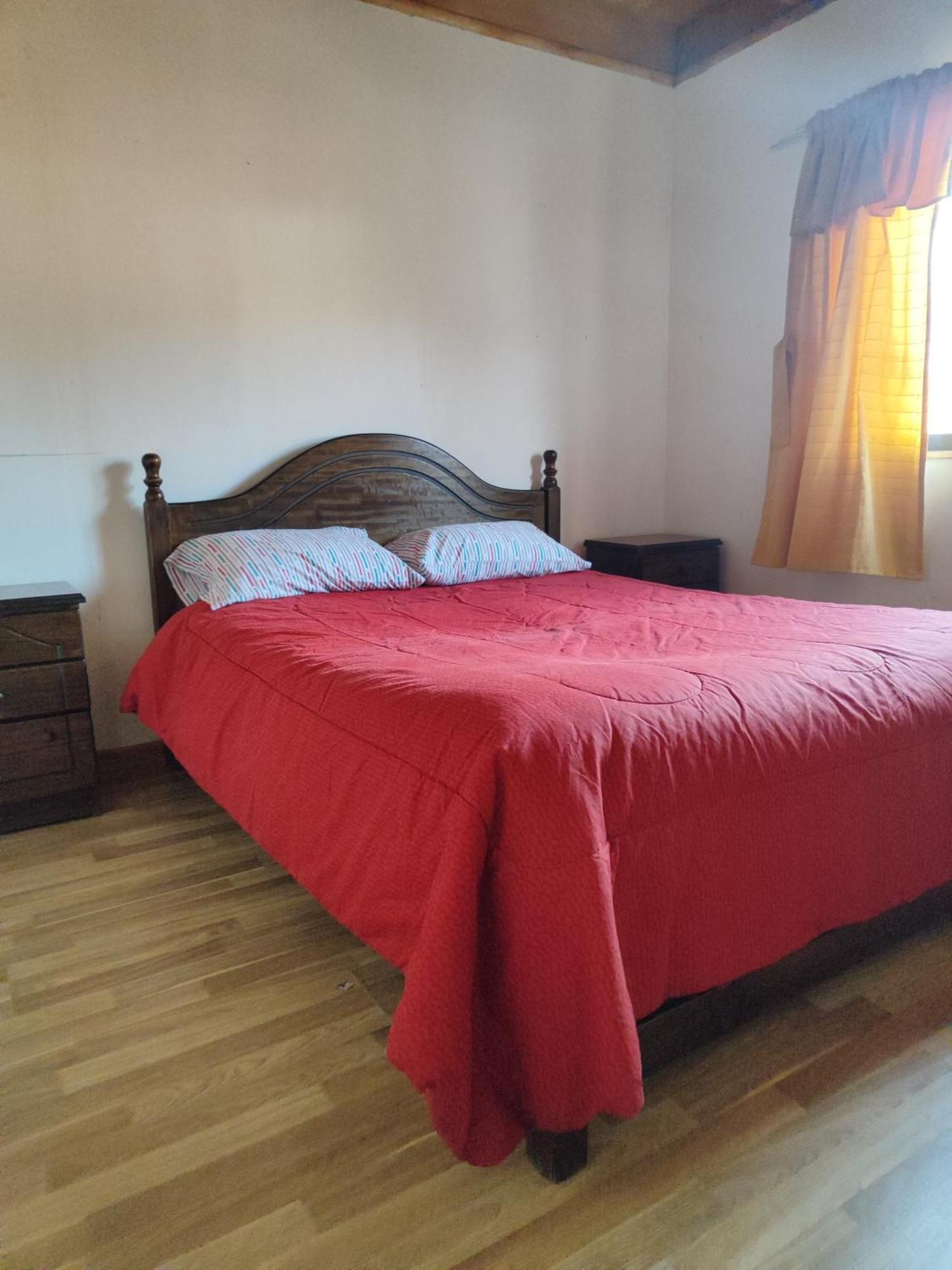 Alma Patagona Hostel Puerto Tranquilo Luaran gambar